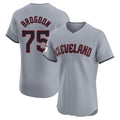 Vanessashop C.Guardians #75 Connor Brogdon Player Gray Road Limited Elite Home Stitched Jerseys
