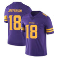 Vanessashop M.Vikings #18 Justin Jefferson Player Purple Limited Color Rush Home Game Stitched Jerseys